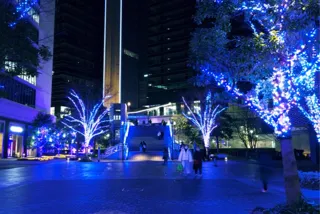 横浜最大級のまちづくり型イルミネーション『ヨコハマミライト』先行点灯が10/4(土)スタート