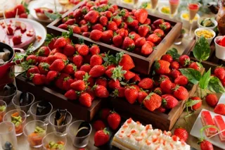 伊良湖オーシャンリゾート 旬の田原産いちごを贅沢に味わう「いちごフェア」開催