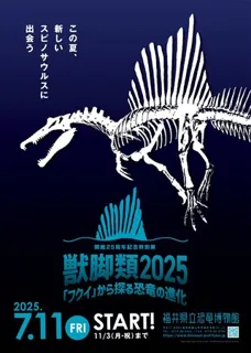 スピノサウルスの14m最新復元を日本初公開！ 7月11日から福井・恐竜博物館で特別展「獣脚類2025」