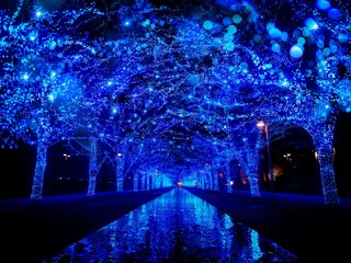 累計1,500万人以上※1が訪れた冬の風物詩 『青の洞窟 SHIBUYA』、2025年も開催決定！