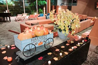 抽選で無料宿泊券が当たるハロウィンキャンペーン開催! 秋のワクワクを愉しもう|~2025年10月31日