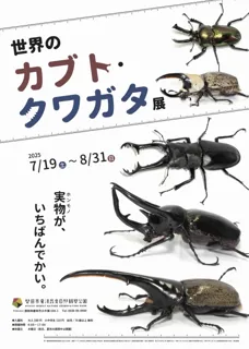 【夏休みのお出かけ、自由研究にピッタリ！】8/31まで磐田市(静岡)で「世界のカブトクワガタ展」を開催中