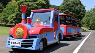 【神奈川県小田原市】小田原こどもの森わんぱくらんど25周年！