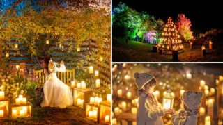 【広島／世羅】世羅高原キャンドルナイト　11月1日OPEN　《そらの花畑　世羅高原花の森》