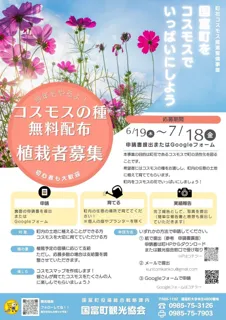 【宮崎県国富町】町花コスモスで花いっぱいのまちづくり