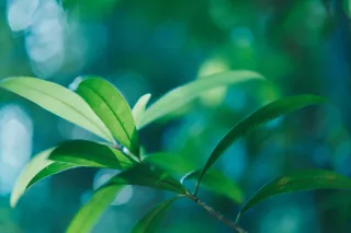 和歌山県南紀白浜「くろしお想」 で、和歌山を自然を切り取った写真展示を開催