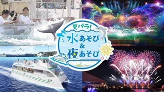 【横浜・八景島シーパラダイス】昼は“涼”を感じながら、夜は“特別感”あふれるシーパラならではの夏イベント！『夏パラ！水あそび＆夜あそび』【２０２５年７月１９日（土）～８月３１日（日）】
