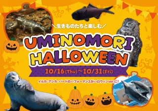 【仙台うみの杜水族館】生きものたちと一緒に楽しむハロウィン『UMINOMORI HALLOWEEN』【２０２５年１０月１６日（木）～１０月３１日（金）】
