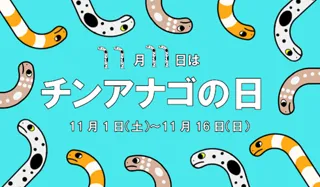【仙台うみの杜水族館】恒例人気企画！みんな大好きチンアナゴ １１月１１日は『チンアナゴの日』【２０２５年１１月１日（土）～１１月１６日（日）】