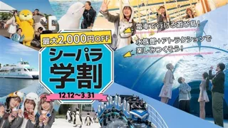 【横浜・八景島シーパラダイス】学生限定！コスパ最高なシーパラで思い出作っちゃおう！ 『シーパラ学割』