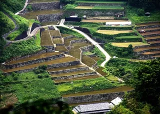 【宮崎県】高千穂郷・椎葉山地域世界農業遺産認定から10年。記念シンポジウムを開催します!!