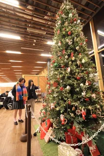 高槻市の安満遺跡公園パークセンターに365センチメートルのクリスマスツリーが展示中