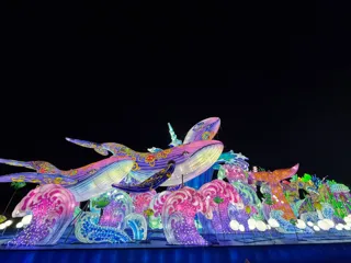 『東京ドイツ村』×『鴨川シーワールド』お得な冬限定プラン『オルカ＆スマイル』発売