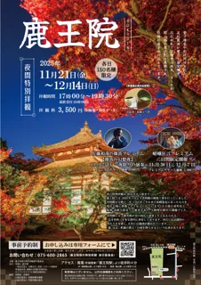 【1日150名限定】京都紅葉隠れスポット　嵐山　鹿王院夜の特別拝観２０２５