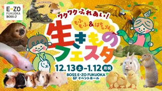 【BOSS E・ZO FUKUOKA】「ワクワクふれあい！もふもふ＆はちゅうるい 生きものフェスタ」開催！