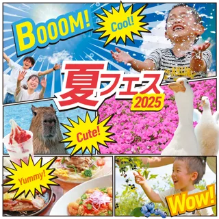 マザー牧場 夏フェス 2025