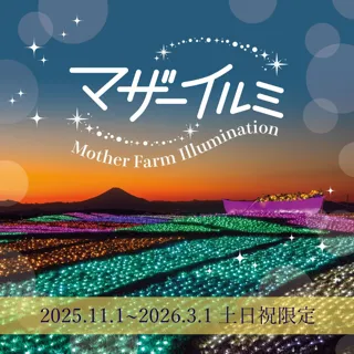 【標高約300ｍ】マザー牧場から望む東京湾の景色とイルミのコラボは必見！ 「マザーイルミ」11月1日より土日祝限定でスタート！