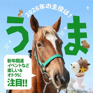 2026年の主役は「うま🐴」！【年末年始限定】新年開運ベントや期間限定の動物ふれあいイベントにご注目！
