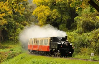 【千葉県市原市】"関東一遅い紅葉”を楽しむ「トロッコ列車で行く！観光ガイドと歩く紅葉の養老渓谷ハイキング」開催