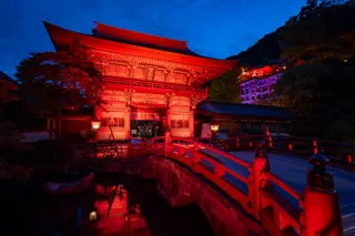 日本三大稲荷「祐徳稲荷神社」を最先端ライトアップで彩り、新・参拝体験を創出