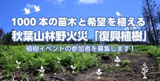秋葉山の再生へ！1,000本の苗木と希望を植える植樹イベントを開催