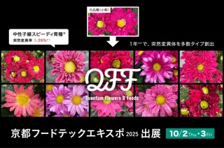 【10/2～3】クォンタムフラワーズ＆フーズ（QFF）、「京都フードテックエキスポ 2025」に出展