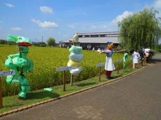 【千葉/袖ケ浦】令和７年度「田んぼの学校」と「農作業体験」実施