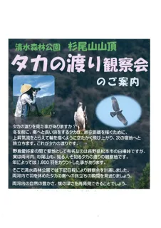 9月28日、国内有数、知る人ぞ知る観察地「清水森林公園　杉尾山」にて「タカの渡り観察会」開催