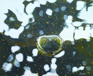 新進気鋭作家によるアート作品　2025年12月特設展示　アーティスト ・ 石田 晃氏の作品4点を本展にて展示