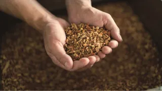 健美薬湯 × 森の湯 心と身体を整える薬湯体験をアナタに！「森の湯の薬草湯治」