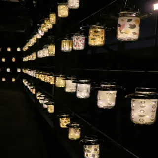 【愛知県半田市】10/24(金)~12/14(日)半六庭園に約600個のランプ飾りが出現!秋冬の半田運河を彩ります