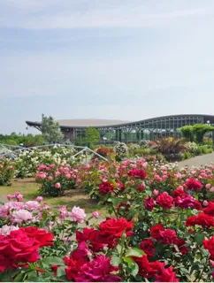 秋バラとハロウィン・ハーベスト(越後丘陵公園)