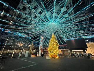 【新潟県長岡市】夜がきらめく特別な季節 Aollumination2025-2026　11月14日(金)から開催