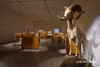 【佐賀県立宇宙科学館《ゆめぎんが》】2025 巡回展 「WHO ARE WE 観察と発見の生物学」を開催します