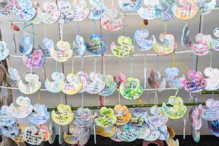 大阪・関西万博「対馬ウィーク」展示作品を、対馬やまねこ空港にて特別公開中