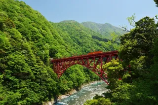 黒部峡谷鉄道　「ＪＲ-WEST RAIL PASS」等ＪＲ３社発売の訪日観光客向け企画切符への割引特典について