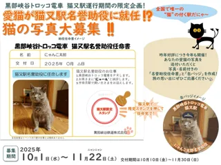 黒部峡谷鉄道「猫又駅」での乗車にちなみ猫の「名誉助役」大募集！