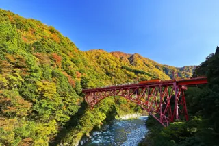 黒部峡谷（トロッコ電車沿線）の紅葉見頃について