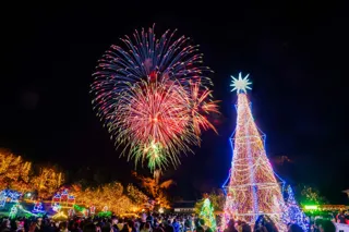 『湖畔ステイズ庄原』で楽しむ・泊まれるイルミネーション