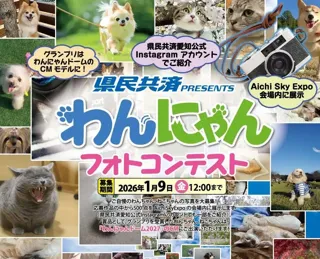 愛するわんちゃん・ねこちゃんがCMデビューのチャンス！「県民共済 presents わんにゃんフォトコンテスト」募集スタート!!