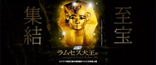 エジプト政府公認 世界巡回展『ラムセス大王展』にて、クレマIPコラボスイーツ販売中！チーズケーキ2,500個販売突破