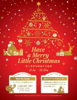 Have a Merry Little Christmas ーサンタからのおくりものー