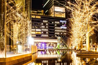 過去最多・約48万球が輝く、シャンパンゴールドの“うめきた”冬夜景「Champagne Gold Illumination in UMEKITA」実施エリア拡大で、より華やかにスケールアップ！