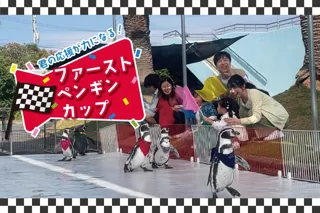 【南知多ビーチランド】ペンギンたちの熱いレースが開幕！「君の応援が力になる！ファーストペンギンカップ」開催！2025年9月6日（土）～11月30日（日）