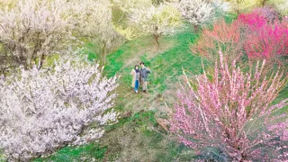 【限定6組】夜はライトアップ、朝はドローン空撮。日本三名園「偕楽園」で二つの絶景を独占する、「水戸の梅まつり特別宿泊プラン」を販売開始