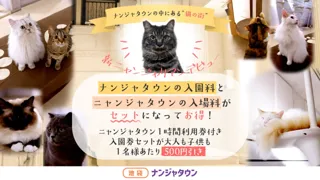 ナンジャタウンにある猫の街に新しい仲間が登場！ 「新猫ちゃんデビューキャンペーン！」 デビューを記念した割引チケットを2025年7月19日(土)から販売！