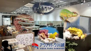 アクアパーク川越 人気いきもの総選挙2025