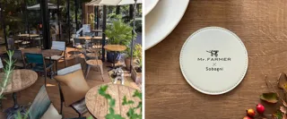 SobagniがMr.FARMER 駒沢オリンピック公園店をジャック!愛犬にも環境にもやさしい“エシカル空間”10月18日(土)より期間限定で登場