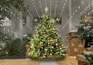 【玉川高島屋S.C.】クリスマス・イルミネーション情報幻想的なオーロラの輝きや生木を使用したナチュラルで温かみあふれるクリスマスツリーが館内3か所に登場！