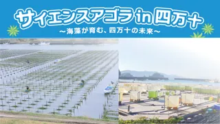 高知大学しまんと海藻エコイノベーション共創拠点がシンポジウム『サイエンスアゴラin四万十』を開催！